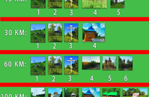 КТ-СЭЛФИ 0